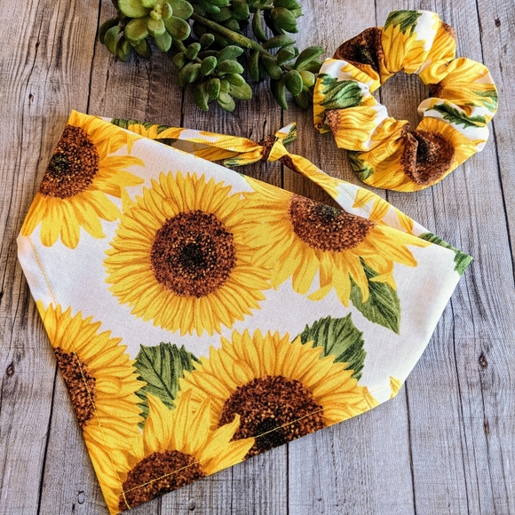 SUNFLOWER 🌻 Dog Bandana with Hair Scrunchie! - Picture 2 of 11